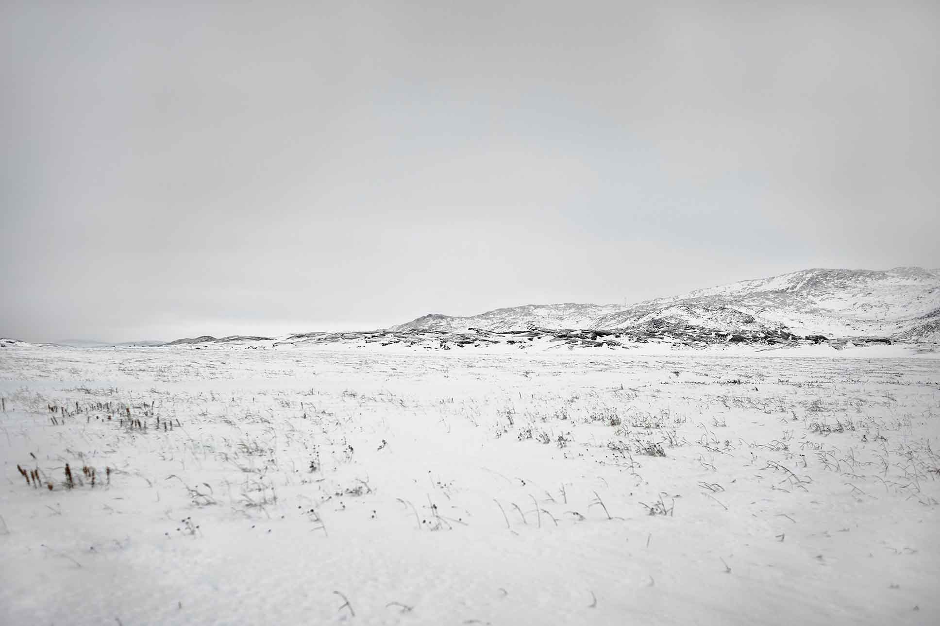 Faces of the Arctic